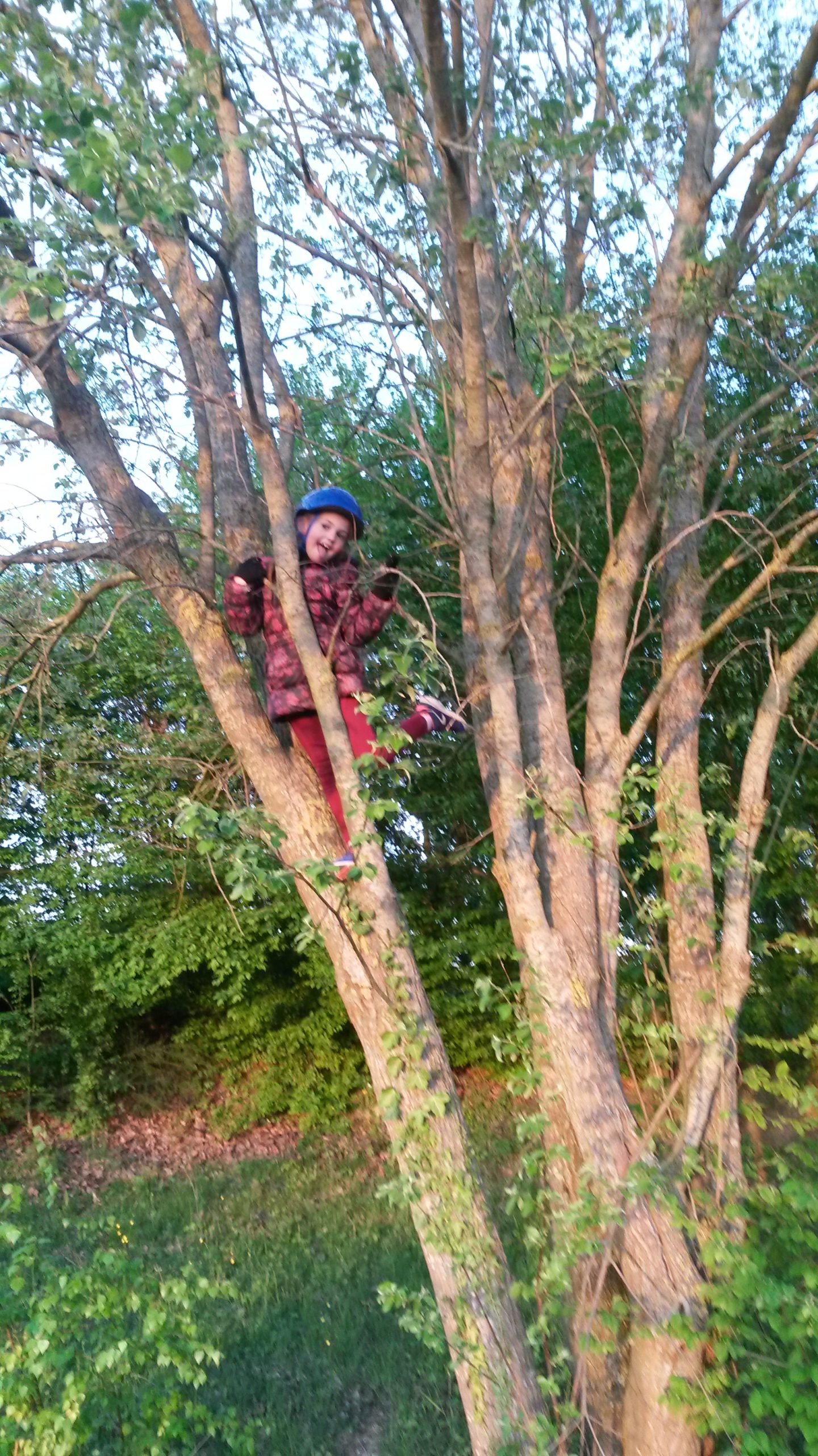 Ateliers jeux dans la foret